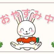 ヒメ日記 2024/12/26 08:01 投稿 こむぎ 鹿児島ちゃんこ 薩摩川内店