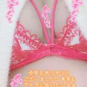 ヒメ日記 2024/12/31 22:11 投稿 こむぎ 鹿児島ちゃんこ 薩摩川内店