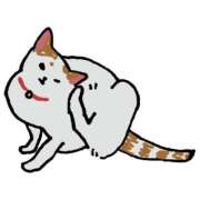 ヒメ日記 2025/01/28 13:51 投稿 こむぎ 鹿児島ちゃんこ 薩摩川内店