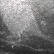 ヒメ日記 2025/02/04 15:27 投稿 こむぎ 鹿児島ちゃんこ 薩摩川内店