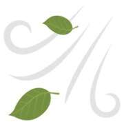 ヒメ日記 2025/02/07 18:17 投稿 こむぎ 鹿児島ちゃんこ 薩摩川内店