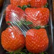 ヒメ日記 2025/02/18 21:26 投稿 こむぎ 鹿児島ちゃんこ 薩摩川内店