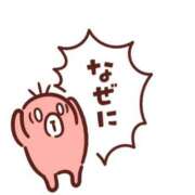 ヒメ日記 2025/04/26 10:55 投稿 こむぎ 鹿児島ちゃんこ 薩摩川内店