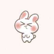 ヒメ日記 2025/05/29 22:45 投稿 こむぎ 鹿児島ちゃんこ 薩摩川内店