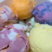 ヒメ日記 2025/06/17 22:27 投稿 こむぎ 鹿児島ちゃんこ 薩摩川内店