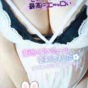 ヒメ日記 2025/07/19 10:30 投稿 こむぎ 鹿児島ちゃんこ 薩摩川内店