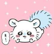 ヒメ日記 2025/07/23 22:09 投稿 こむぎ 鹿児島ちゃんこ 薩摩川内店