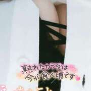 ヒメ日記 2025/08/17 19:42 投稿 こむぎ 鹿児島ちゃんこ 薩摩川内店