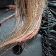 ヒメ日記 2025/09/07 21:16 投稿 こむぎ 鹿児島ちゃんこ 薩摩川内店