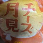 ヒメ日記 2025/09/09 12:58 投稿 こむぎ 鹿児島ちゃんこ 薩摩川内店