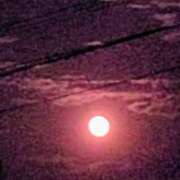 ヒメ日記 2025/10/08 19:16 投稿 こむぎ 鹿児島ちゃんこ 薩摩川内店