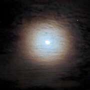 ヒメ日記 2025/11/11 00:21 投稿 こむぎ 鹿児島ちゃんこ 薩摩川内店