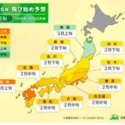 ヒメ日記 2026/02/04 23:57 投稿 こむぎ 鹿児島ちゃんこ 薩摩川内店