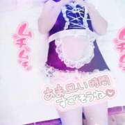 ヒメ日記 2026/04/16 09:25 投稿 こむぎ 鹿児島ちゃんこ 薩摩川内店