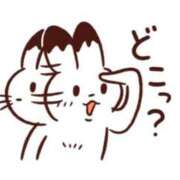 ヒメ日記 2026/06/20 14:53 投稿 こむぎ 鹿児島ちゃんこ 薩摩川内店