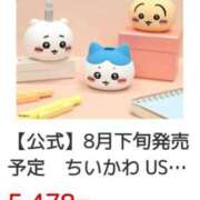 こむぎ かわいい vs 財布（もちろん財布の大敗） 鹿児島ちゃんこ 薩摩川内店