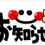 こむぎ ご無沙汰しておりますm(_ _)m 鹿児島ちゃんこ 薩摩川内店