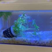 ヒメ日記 2024/12/27 00:03 投稿 もも【よしよししたいキス魔】 STELLA TOKYO－ステラトウキョウ－