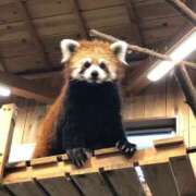 ヒメ日記 2025/04/18 15:36 投稿 もも【よしよししたいキス魔】 STELLA TOKYO－ステラトウキョウ－