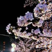 ヒメ日記 2025/03/27 22:04 投稿 いろは 京都の痴女鉄道