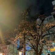 ヒメ日記 2025/04/06 01:06 投稿 いろは 京都の痴女鉄道