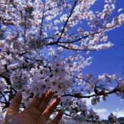 ヒメ日記 2025/04/06 23:26 投稿 いろは 京都の痴女鉄道