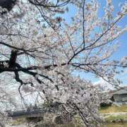 ヒメ日記 2025/04/09 17:56 投稿 いろは 京都の痴女鉄道