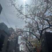 ヒメ日記 2025/04/11 23:26 投稿 いろは 京都の痴女鉄道