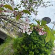 ヒメ日記 2025/04/23 00:13 投稿 いろは 京都の痴女鉄道