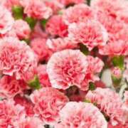 ヒメ日記 2025/05/11 21:56 投稿 いろは 京都の痴女鉄道