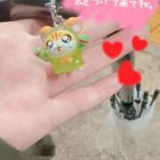 ヒメ日記 2025/06/09 20:26 投稿 いろは 京都の痴女鉄道