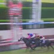 ヒメ日記 2026/06/14 23:37 投稿 さりな 即アポマダム～名古屋店～