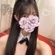 レイ デビュー⭐ バニーコレクション千葉栄町店