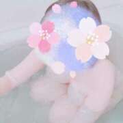 ヒメ日記 2025/04/19 00:20 投稿 ユア バニーコレクション千葉栄町店