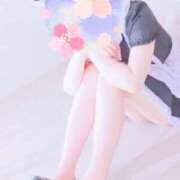 ヒメ日記 2025/06/15 12:15 投稿 ユア バニーコレクション千葉栄町店