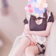 ヒメ日記 2025/06/19 09:42 投稿 ユア バニーコレクション千葉栄町店