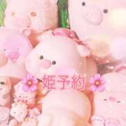 ヒメ日記 2025/06/27 17:21 投稿 ユア バニーコレクション千葉栄町店