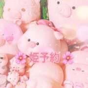 ヒメ日記 2025/07/07 23:08 投稿 ユア バニーコレクション千葉栄町店