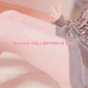 ヒメ日記 2025/11/23 01:25 投稿 ユア バニーコレクション千葉栄町店