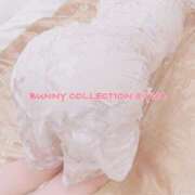 ヒメ日記 2025/12/17 16:40 投稿 ユア バニーコレクション千葉栄町店