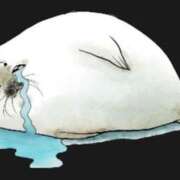 ヒメ日記 2026/01/26 19:15 投稿 アサヒ バニーコレクション千葉栄町店