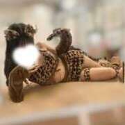 まいか にゃんにゃんにゃん🐈‍⬛ LOVE横浜店(Iグループ)