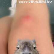 ヒメ日記 2025/02/09 01:00 投稿 MOA 秘密倶楽部 凛 船橋本店