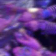 ヒメ日記 2025/03/10 20:30 投稿 MOA 秘密倶楽部 凛 船橋本店