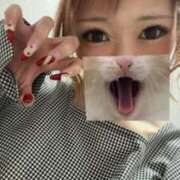 ヒメ日記 2025/03/27 04:00 投稿 MOA 秘密倶楽部 凛 船橋本店