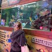 ヒメ日記 2025/12/18 18:15 投稿 MOA 秘密倶楽部 凛 船橋本店