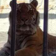 ヒメ日記 2025/05/10 21:44 投稿 栗原りん 五十路マダムエクスプレス船橋店(カサブランカグループ)