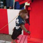 ヒメ日記 2025/05/15 13:46 投稿 栗原りん 五十路マダムエクスプレス船橋店(カサブランカグループ)