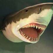 ヒメ日記 2025/06/01 11:58 投稿 栗原りん 五十路マダムエクスプレス船橋店(カサブランカグループ)