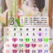 ヒメ日記 2026/02/14 07:12 投稿 桜井 シャトーペトラ